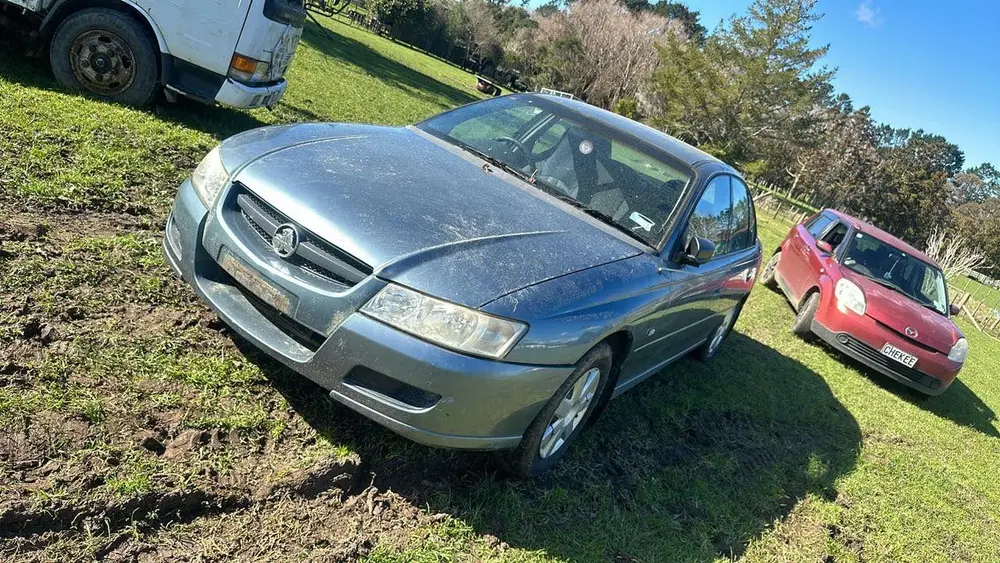 Holden Commodore parked in a grassy paddock